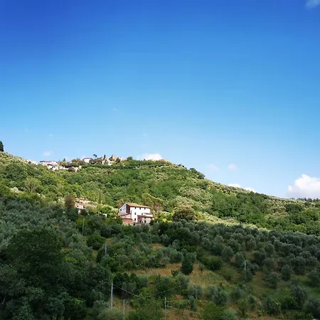 7 Panorama *